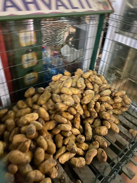 Fotoğraf 12