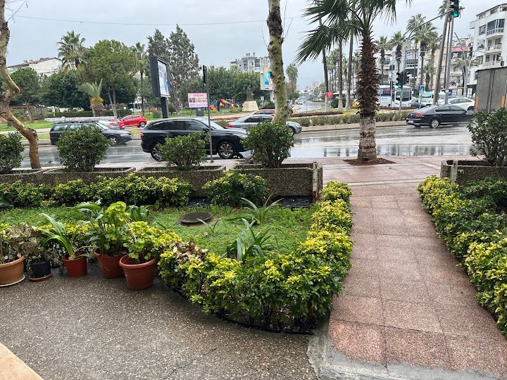 Yorum fotoğrafı 4