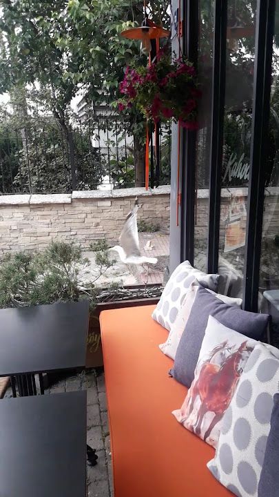 Fotoğraf 21