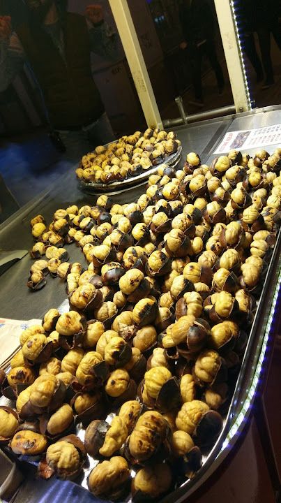 Fotoğraf 15