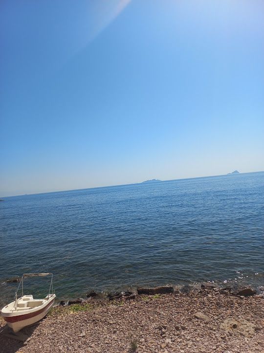 Yorum fotoğrafı 4