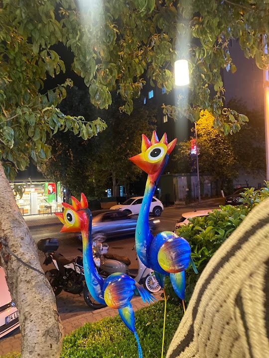 Yorum fotoğrafı 1