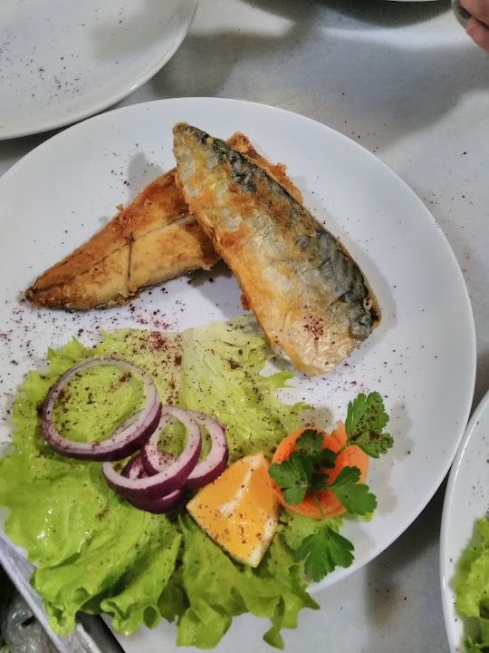 Fotoğraf 17