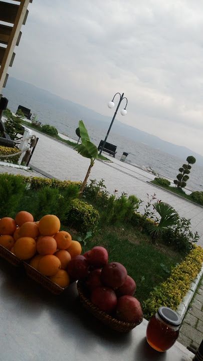 Fotoğraf 14