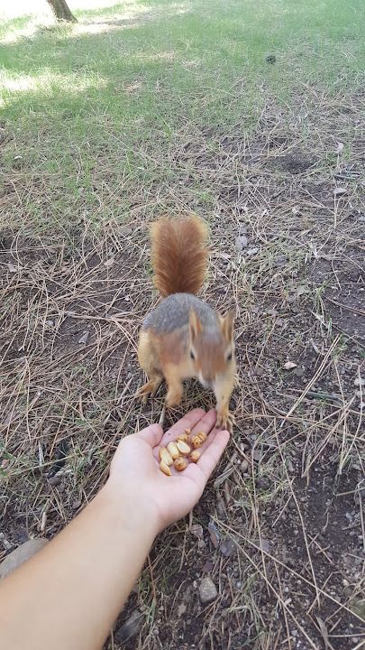 Yorum fotoğrafı 3