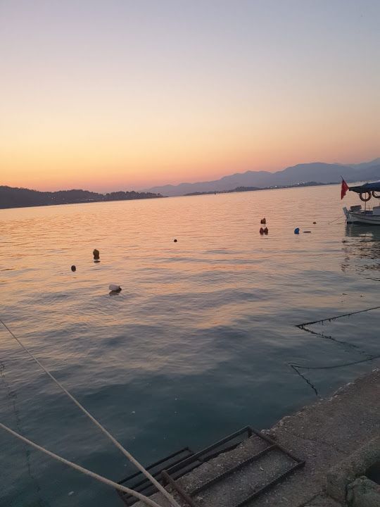 Fotoğraf 22