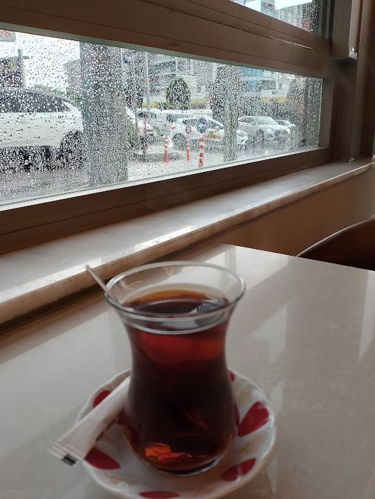 Fotoğraf 31
