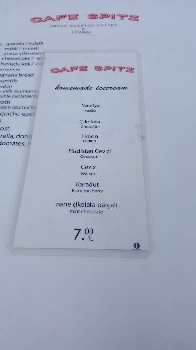 Fotoğraf 19
