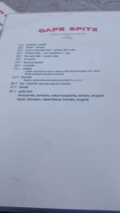 Fotoğraf 17