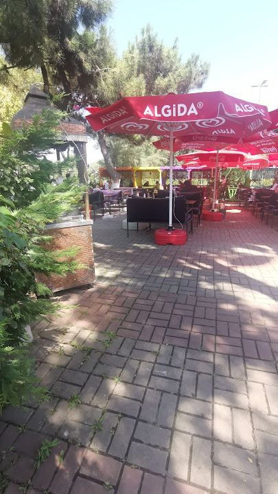 Fotoğraf 37