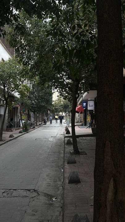 Fotoğraf 21
