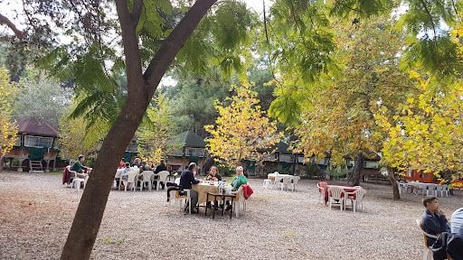 Yorum fotoğrafı 5