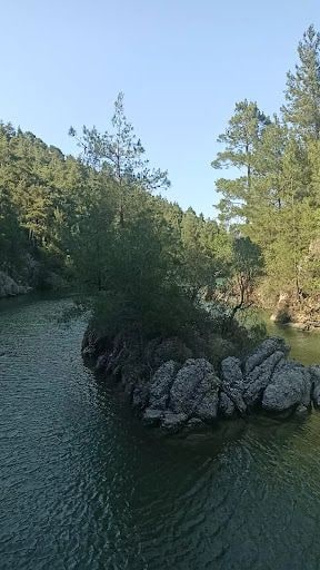 Yorum fotoğrafı 7