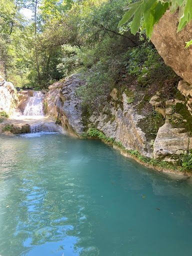 Yorum fotoğrafı 7