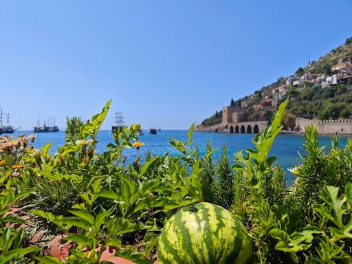 Yorum fotoğrafı 3