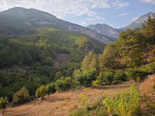 Yorum fotoğrafı 6