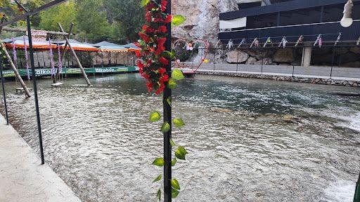 Yorum fotoğrafı 7