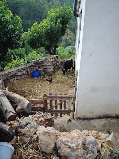 Yorum fotoğrafı 9