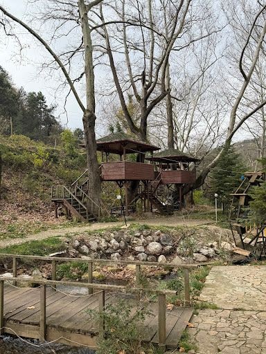 Yorum fotoğrafı 5