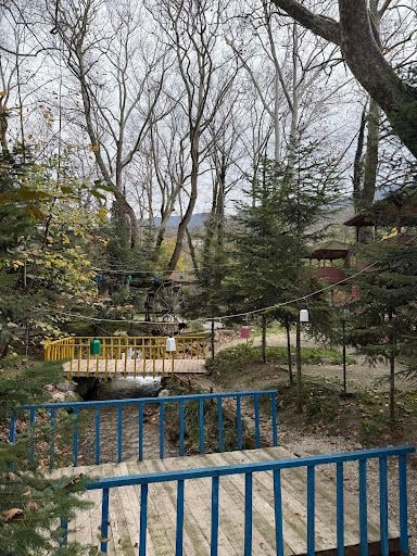 Yorum fotoğrafı 6