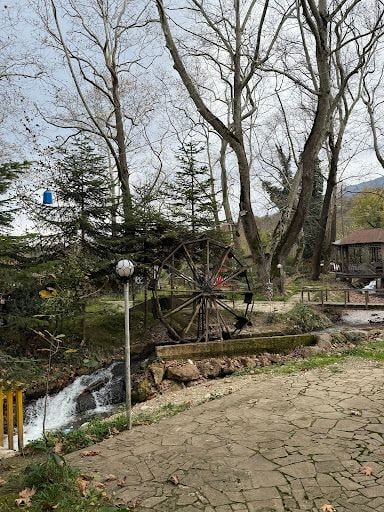 Yorum fotoğrafı 7
