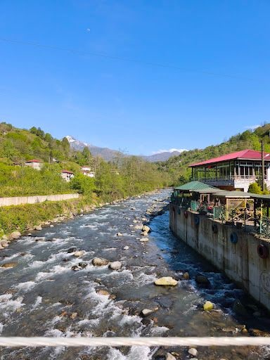 Fotoğraf 33