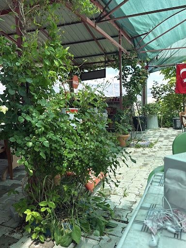 Fotoğraf 9