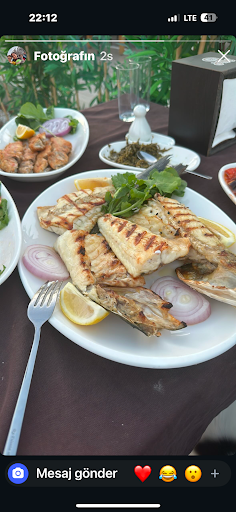 Fotoğraf 13