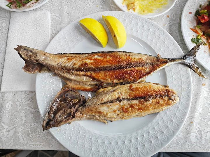 Yorum fotoğrafı 4
