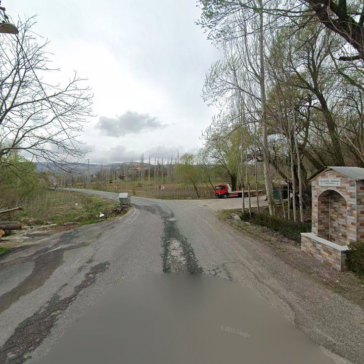 Fotoğraf 6