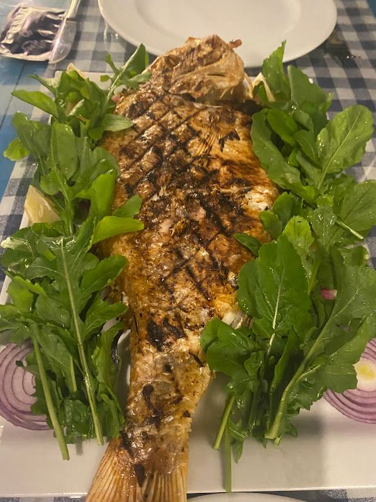 Fotoğraf 19