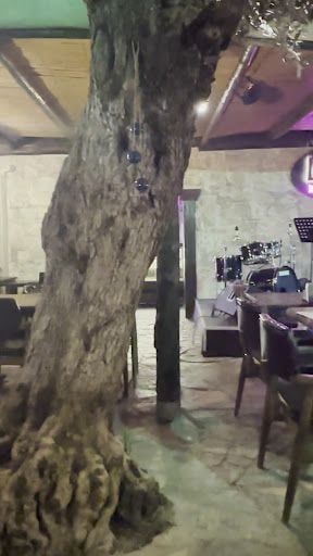 Fotoğraf 22