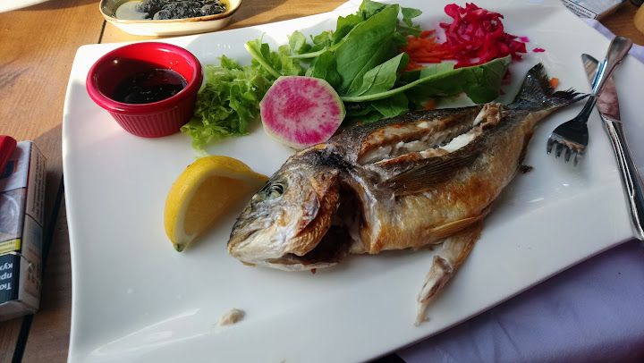 Fotoğraf 30