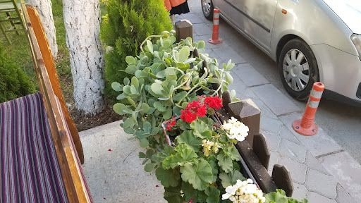 Yorum fotoğrafı 10