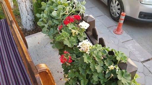 Yorum fotoğrafı 6