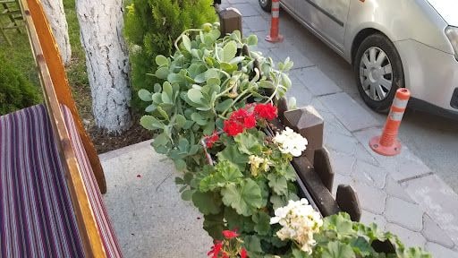 Yorum fotoğrafı 8