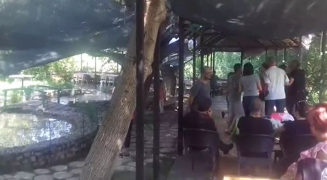 Fotoğraf 12