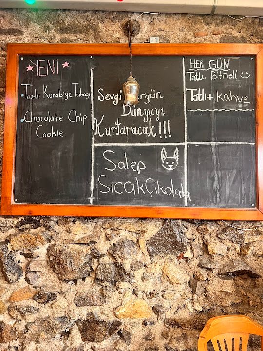 Fotoğraf 17