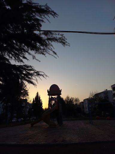 Fotoğraf 15