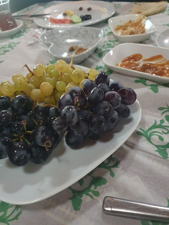 Fotoğraf 25