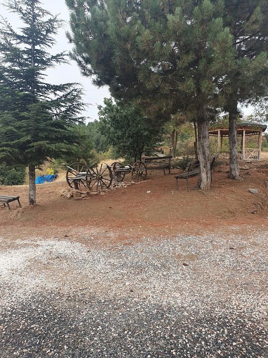 Yorum fotoğrafı 4