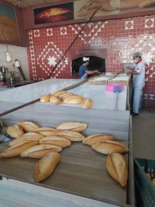 Yorum fotoğrafı 3
