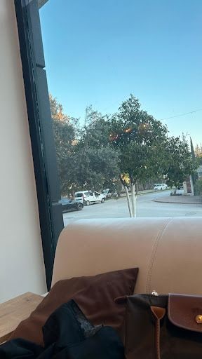 Yorum fotoğrafı 9