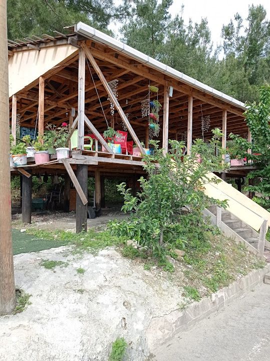Fotoğraf 17