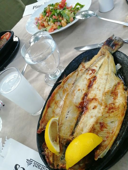 Fotoğraf 36
