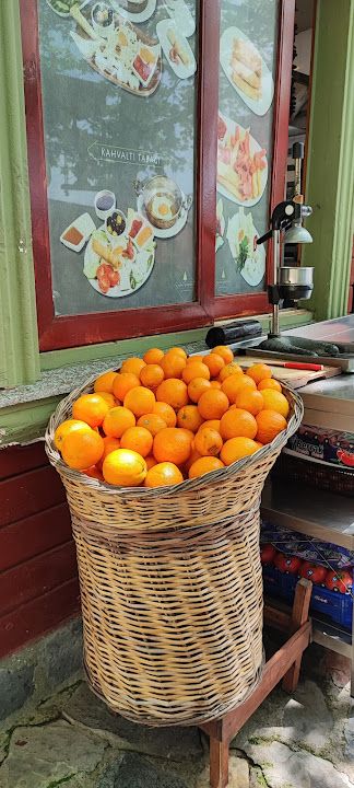 Fotoğraf 42
