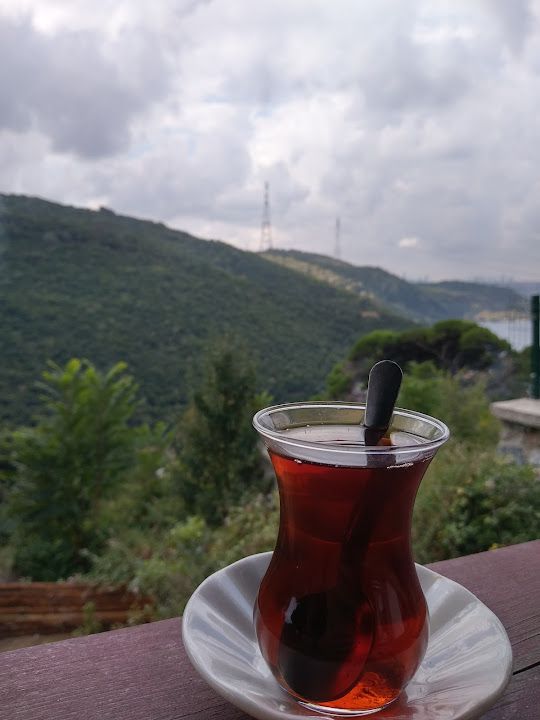 Fotoğraf 41