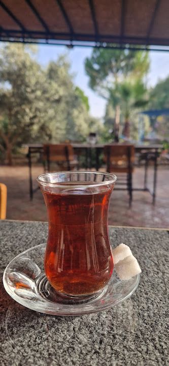 Fotoğraf 34
