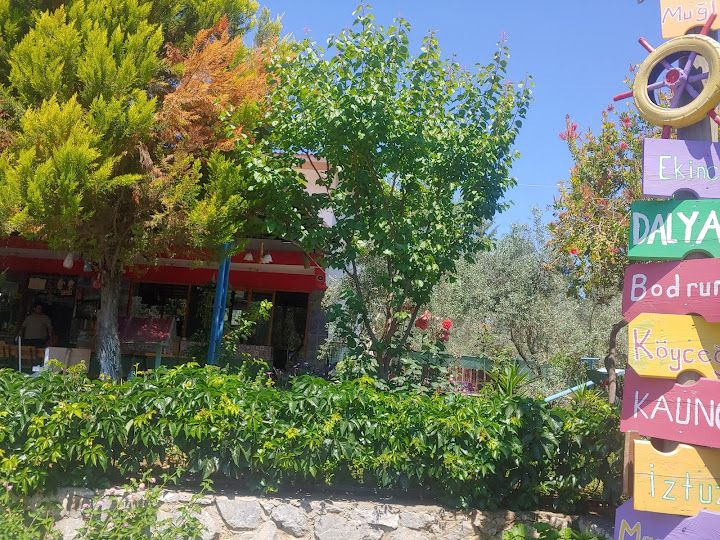 Yorum fotoğrafı 2