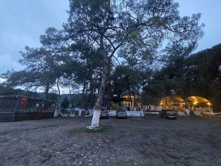 Yorum fotoğrafı 2